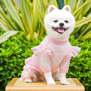 Detailed view of pink ruffled lace pet dress with sheer texture on a white Pomeranian dog