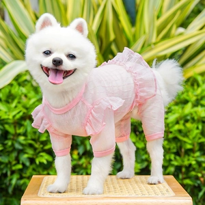 Close-up of pink pet summer dress with mesh texture and ruffle sleeve details