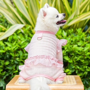 Detailed close-up of pink lace pet dress featuring daisy embroidery and metal D-ring attachment