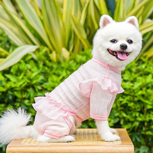 Pink lace pet dress with mesh flutter sleeves shown on a small white Pomeranian dog