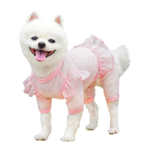 Pink ruffles dog jumpsuit with breathable texture and elastic ribbing on white pomeranian