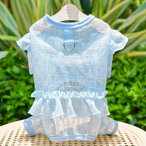 Close-up of light blue lace pet dress featuring breathable mesh and metal D-ring attachment