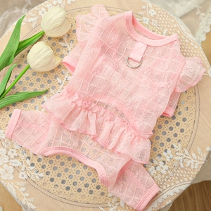 Detail of pink lace pet dress with metal D-ring and ruffled hem on a woven mat
