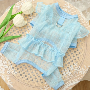 Detail of light blue lace pet jumpsuit with ruffled sleeves and metal leash D-ring