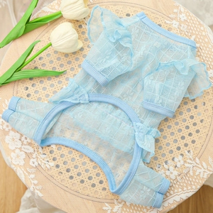Detail of light blue pet lace dress featuring ruffle sleeves and breathable mesh fabric
