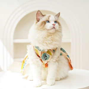 Detail of floral pet shirt featuring 3D rose pattern and white buttons on a ragdoll cat