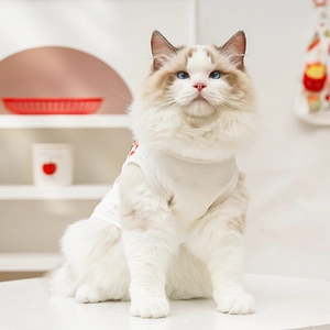 Detail of white ice silk mesh pet vest featuring colorful cartoon patterns for summer