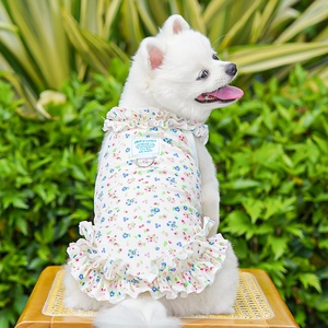 Détail d'une robe florale pour chien avec bords plissés et anneau en D pour la laisse