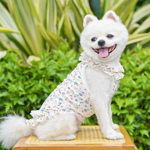 Vue détaillée d'une robe fleurie pour chien avec col à volants et tissu léger d'été