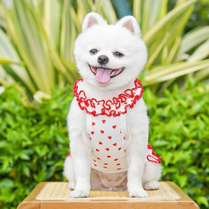 Gros plan d'une robe d'été respirante pour animaux avec motif de cœurs rouges sur chien