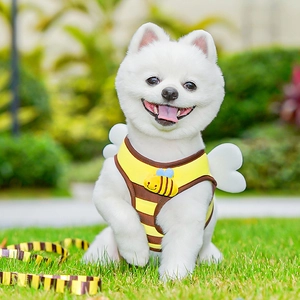 Cute bee-themed pet harness with yellow stripes and white wings on a dog in the park