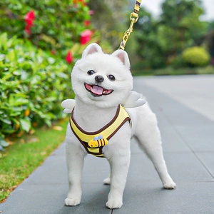 Close-up of a honeybee-themed dog harness with white wings on a white Pomeranian dog