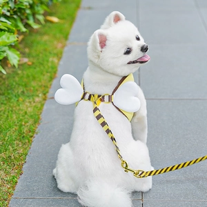 Detail of yellow pet harness with white heart wings and striped leash on a dog