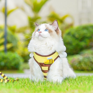 Close-up of a bee-themed cat harness with yellow stripes and 3D wings on green grass