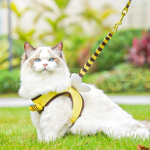 Close-up of bee-themed pet harness with white wings on a cat in a green garden
