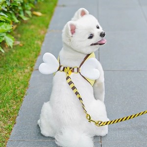 Close-up of yellow dog harness with 3D white wings and striped leash for small breeds