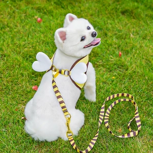 Detail of bee themed dog harness with white heart wings and striped leash on grass