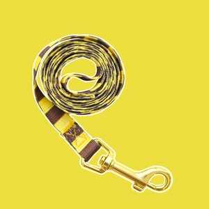 Detail showing high-density nylon pet leash with yellow stripes and golden metal clip