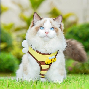 Bee-themed cat vest harness with yellow stripes and 3D wings on a Ragdoll cat outdoors