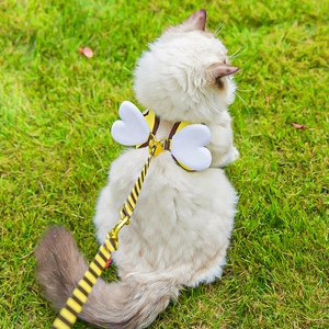Close-up of a yellow bee-themed dog harness with white wings on a pet outdoors