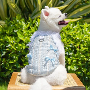 Detailed close-up of light blue dog dress with lace trim and silver D-ring buckle