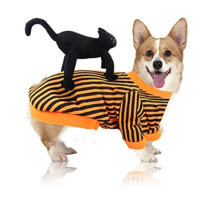 Halloween dog costume featuring a striped knit sweater with an attached 3D plush black cat