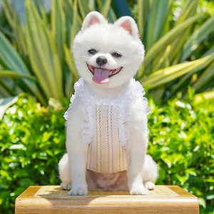 Detail of cute beige pet summer vest featuring white lace ruffles and soft rib texture