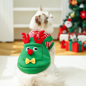 Close-up of a festive Christmas reindeer pet costume on a cat with soft fleece texture