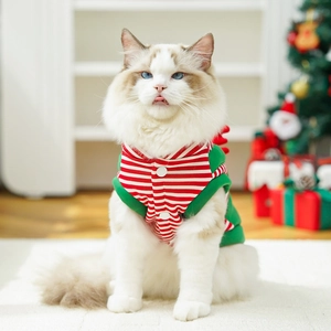 Detail of a festive Christmas cat sweater with red stripes, green sides, and white buttons