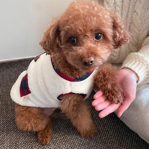 Close-up of white fleece dog vest with red and green plaid pockets for winter