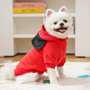 Dettaglio felpa rossa per animali con orecchie 3D indossata da un cane volpino di Pomerania