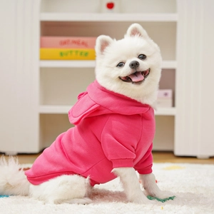 Dettaglio della felpa con cappuccio in pile rosa per cani con orecchie carine