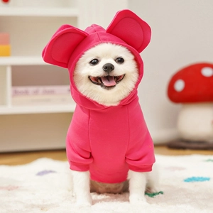 Dettaglio felpa rosa per animali con grandi orecchie su un cane Pomerania bianco