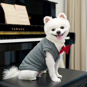 Gilet da cerimonia per cani in pile grigio con fiocco rosso seduto al pianoforte