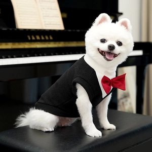 Detail of dog tuxedo vest with red bowtie worn by white Pomeranian near a piano