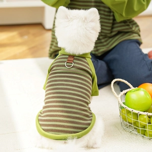 Detail of green striped pet shirt showing soft knit fabric and metal D-ring for leash