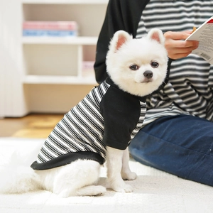 Classic black and white striped pet sweater with raglan sleeves on a small white dog