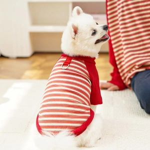Close-up of red and white striped pet t-shirt with a metal D-ring for leash attachment