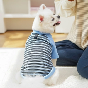 Detail of blue striped pet vest featuring a metal D-ring attachment for dog leashes