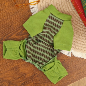 Detail of green striped pet jumpsuit on wooden table with vintage props and soft light