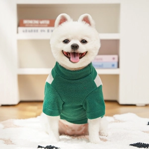 Close-up of a warm dark green and grey fleece sweater on a small Pomeranian dog