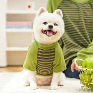 Close-up of green striped cotton pet T-shirt for small dogs with breathable fabric