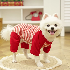 Close-up of red and white striped cotton knit pet pajamas on a small white dog