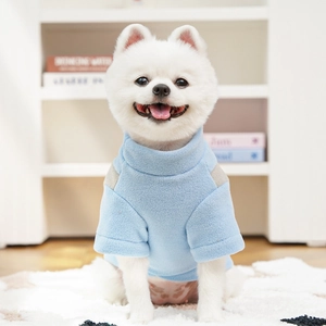 Close-up of a white Pomeranian in a light blue fleece warm sweater with grey details