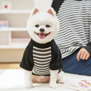 Close-up of black and white striped cotton pet t-shirt with ribbed neck for small dogs