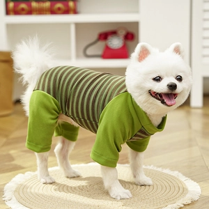 Close-up of green striped cotton pet pajamas for small dogs in a cozy home setting
