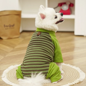 Close-up of striped dog onesie with a back D-ring for leash attachment on Pomeranian