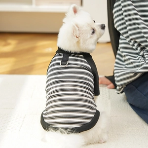 Close-up of black and white striped dog shirt with metal D-ring for leash attachment