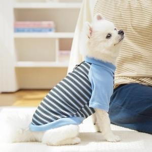 Close-up of sky blue striped pet shirt with D-ring attachment for small dogs
