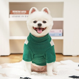 Detail of dark green fleece pet sweater with grey shoulder patch on a white Pomeranian